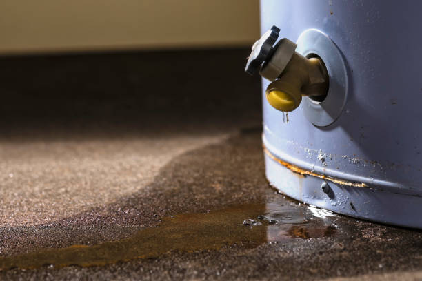 Best Flooded house restoration  in Patrick Af, FL