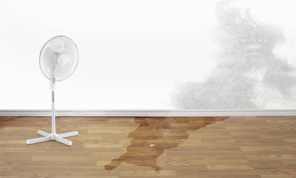 Best 24-hour water damage restoration  in Patrick Af, FL