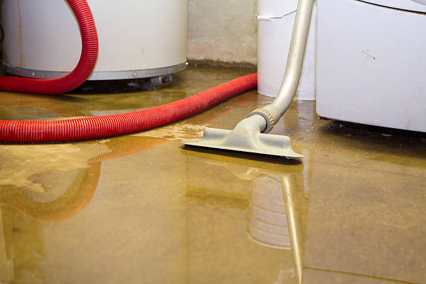 Best 24-hour water damage restoration  in Patrick Af, FL