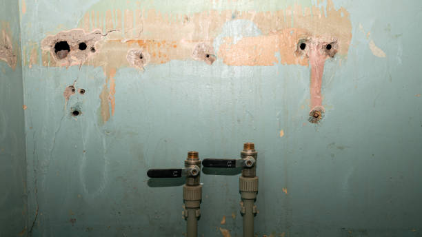 Best Commercial water damage restoration  in Patrick Af, FL