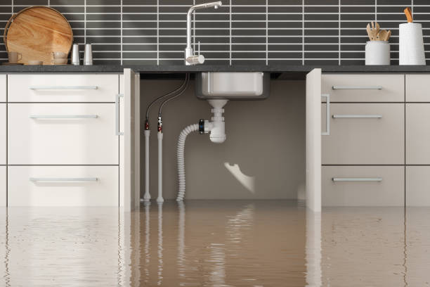 Best Emergency water damage restoration  in Patrick Af, FL
