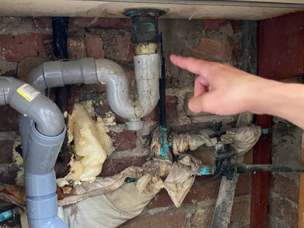 Best Flood damage cleanup  in Patrick Af, FL