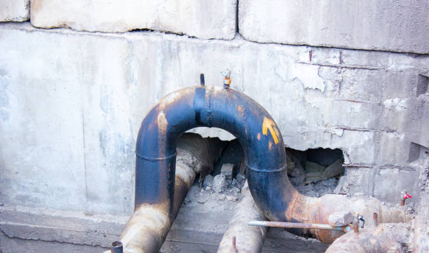 Best Water damage contractors near me  in Patrick Af, FL