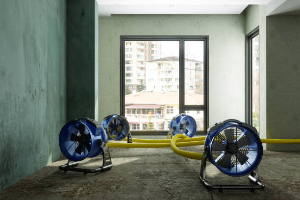 Best Water damage restoration near me  in Patrick Af, FL
